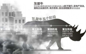 小心，中國(guó)產(chǎn)業(yè)園區(qū)的“灰犀?！庇謥?lái)了！